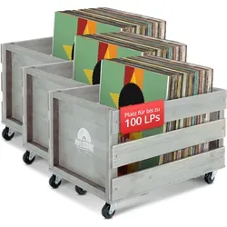 Stagecaptain SPK-100 GY Schallplattenkiste