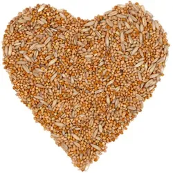 Lyra Pet® Wellensittichfutter 10 kg