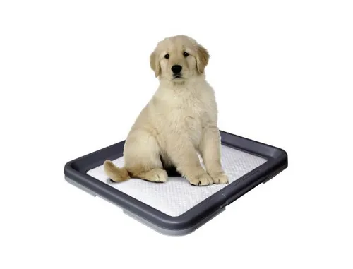 Nobby Doggy Trainer Ersatzpads 24 Stück Größe L Hundepflege