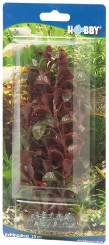 Hobby 41514 Rotala, 16 cm