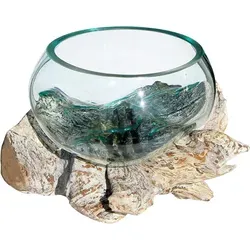 Wogeka Dekoschale Glas-Schale auf Wurzelholz Teakholz von Wogeka