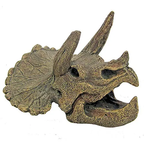 Wave A8011754 Triceratops Schädel