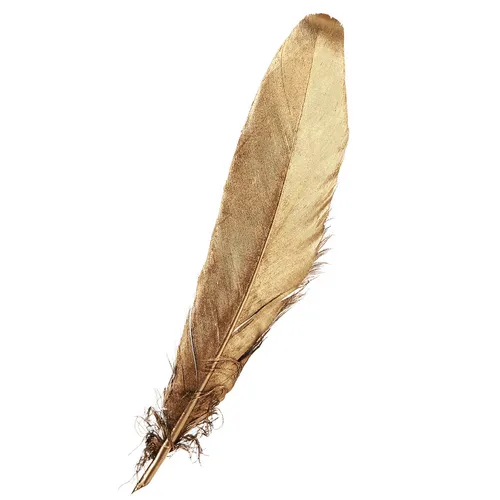 Deko Federn Gold 15-20cm 12 St
