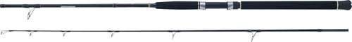 WFT Steckrute Seadart Special Fjord Länge 2,10m Wurfgewicht 30-300g