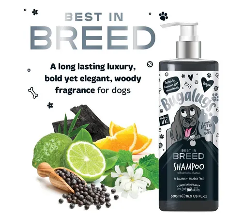 Produktbild Bugalugs Tiershampoo Bugalugs bestes Hunde Pflegeshampoo mit Aktivkohle Zitrusfrüchte Duft, 500 ml, (1-St), pH neutral, Hundeshampoo, mit Vitaminen, mit Aktivkohle