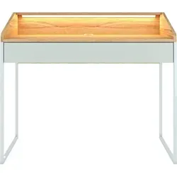 Schreibtische Grün von Dancan