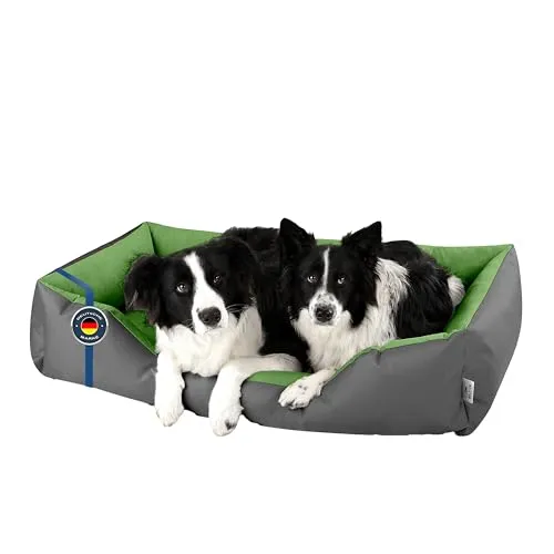 BedDog Hundebett XXXL - Ergonomisches Hundekissen für große Hunde - Hundebetten - Hochwertiges, ergonomisches Hundekörbchen aus strapazierfähigem Cordura, ideal für drinnen und draußen. Abnehmbarer, waschbarer Bezug sorgt für einfache Pflege.