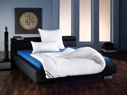 f.a.n. Duo-Steppbett Texas 200x200 cm von Frankenstolz Gute Bettwaren