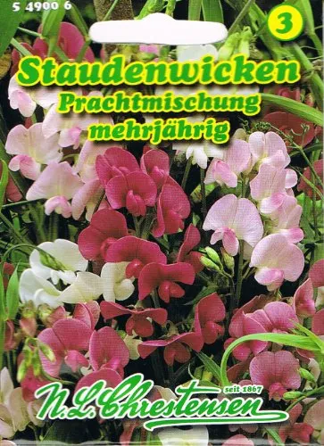 Staudenwicken Prachtmischung Mischung Wicke rankend Lathyrus latifolius winterhart mehrjährig