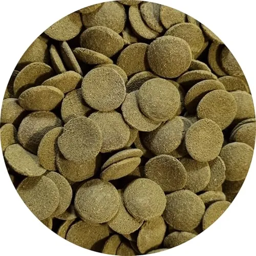 Futtertabletten Wels Chips GROß- Welse Fischfutter Welstabletten Spirulina 100 ml
