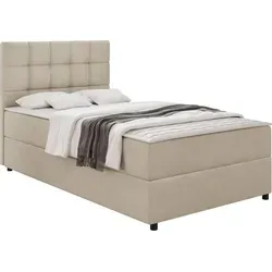Mirjan24 Boxbett Beige 120x200 cm - Schlafzimmer Boxspringbett mit Bettkasten, H3 Härtegrad für optimalen Schlafkomfort und praktische Aufbewahrung.