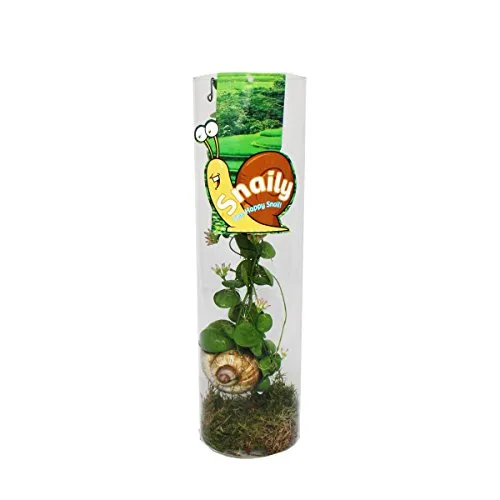 Exotenherz Snaily von Exotenherz