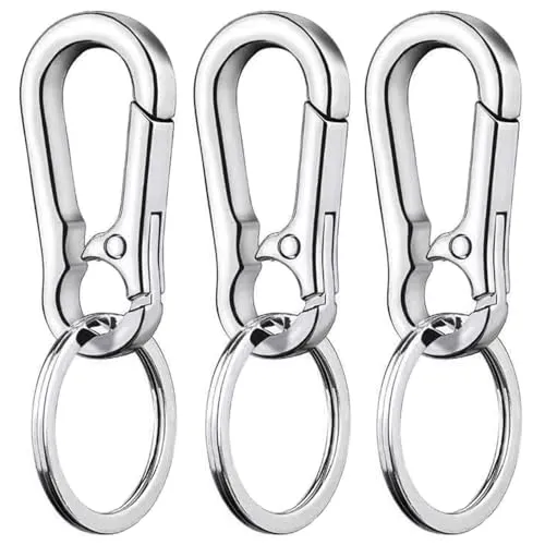 LABUYI 3 Stück Silber Metall Karabiner Schlüsselanhänger, Klein, D-Form, Non-Locking, Modern, für Wandern, Camping, Radfahren, Angeln