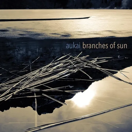 Aukai - Branches Of Sun (Vinyl LP - 2021 - EU - Original)