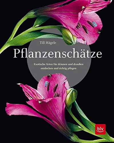 Pflanzenschätze: Exotische Arten für drinnen und draußen entdecken - Garten & Pflanzen: Umfassender Ratgeber zur Pflege exotischer Pflanzen für Ihr Zuhause und Ihren Garten.