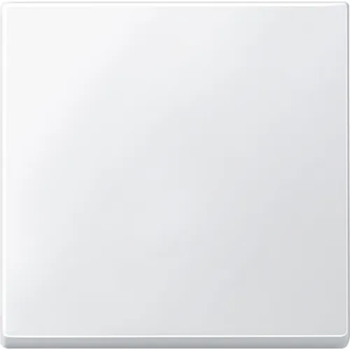 Schneider Electric Merten Wippe für Schalter, System M, polarweiss, Artikelnummer 434119, 1 Stück