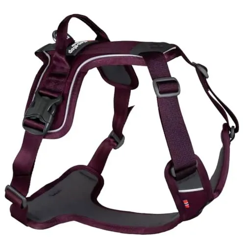 Non-stop dogwear Ramble Harness |Purple| Größe S - Führ- und Alltagsgeschirr - Weiteres Autozubehör - Das Ramble Harness bietet optimalen Komfort und Sicherheit für Ihren Hund beim Autofahren.