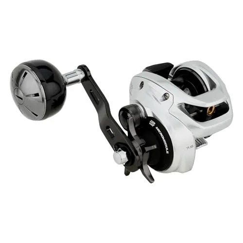Shimano Fishing Tranx B Baitcasting-Rolle 301 von Shimano
