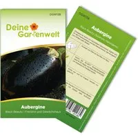 Deine Gartenwelt Aubergine Black Beauty Samen