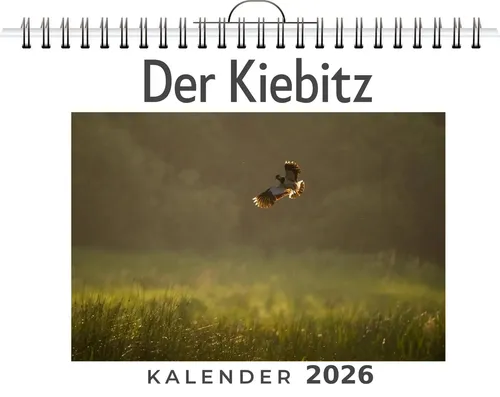 Matteo Lehmann | Der Kiebitz | Kalender | Deutsch | 2026 | FlipFlop