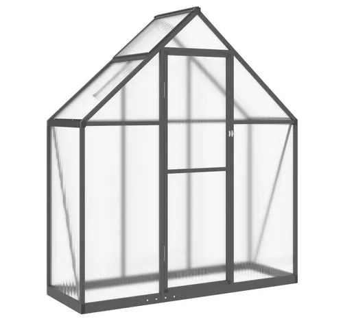 furnicato Gewächshaus mit Fundamentrahmen Anthrazit 169x58x195 cm Alu