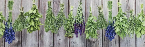 ASTRA Schmutzfangmatte Miabella Kräuter, 50 x 150cm - Teppich mit rutschfester Unterseite für ein sicheres Aufliegen. Hohe Saugfähigkeit und waschbar bei 30°C, ideal für Innenbereiche und Fußbodenheizung.