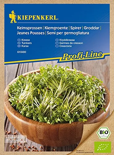 Bio Keimsprossen verschiedene Sorten Alfalfa Radies Brokkoli Weizen Rauke Linsen Zwiebel (Kresse)