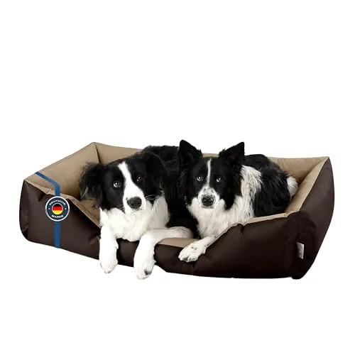 BedDog Hundebett XXL - Ergonomisches Hundesofa für Mittel-Große Hunde - Hundebetten - Hoher Komfort durch ergonomisches Design, abziehbarer und waschbarer Bezug für einfache Pflege und Gelenkschonung.