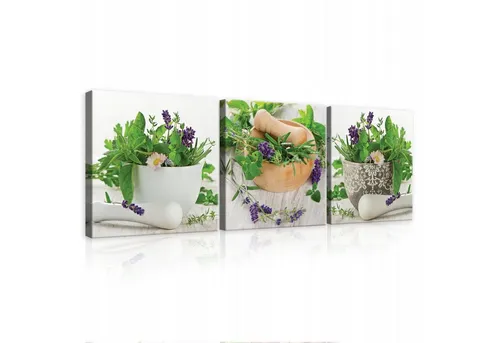 Wallarena Leinwandbild Küche Gewürze Kräuter 3 Teile SET Wandbilder Leinwandbilder, Küchebilder (SET 3 teilig, 3 St), Bilder Küche Küchenbilder Set Wandbild Leinwandbild Wand Deko