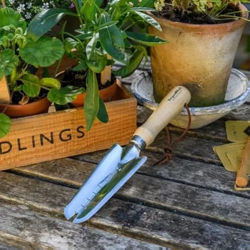 Burgon & Ball RHS Unkrautkelle aus Edelstahl, FSC 100% von Burgon & Ball