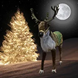 Rentier Rudolf mit Bewegung und Musik