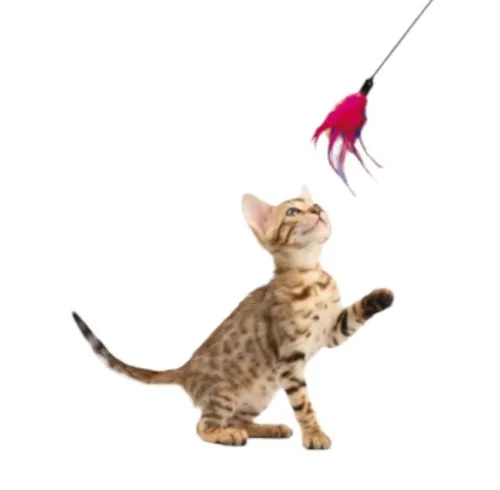 FEDERWEDEL,Spielangel,Spielstab, Katzenspielangel,Katzenspielzeug,Karlie,Federn