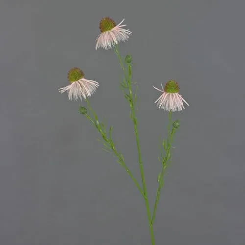 artplants.de Künstlicher Sonnenhut Celio, rosa, 60cm, Ø6cm - Scheinsonnenhüte künstlich