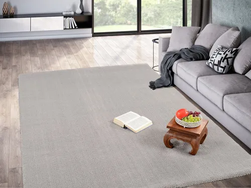 OCI DIE TEPPICHMARKE Hochflor-Teppich Soft Dream - Teppich für Wohnzimmer, besonders weich durch hochwertige Microfaser, ideal zum Entspannen und Wohlfühlen, Maße: 80 cm x 150 cm x 30 mm, Farbe: grau.
