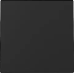 Gira Wippe Schwarz m 3296005 von Gira