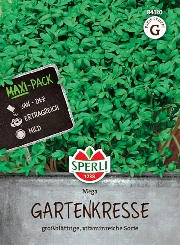 Sperli Gartenkressesamen Mega, MaxiPack 50g, 84120 von SPERLI