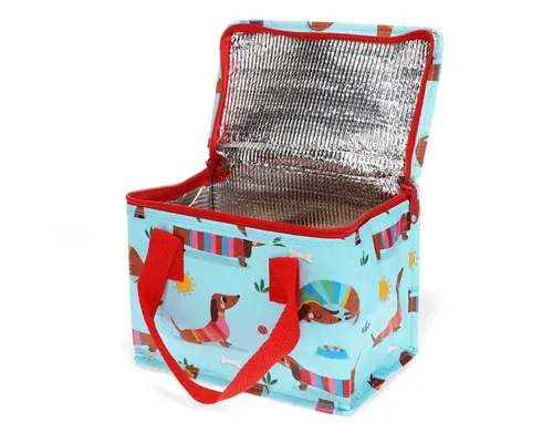 Rex London Thermobehälter Lunch-Tasche isoliert Kühltasche Picknicktasche Isoliertasche 4 Liter