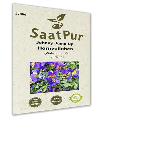 Hornveilchen Johnny Jump Up