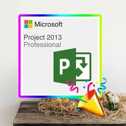 Project 2013 Professional