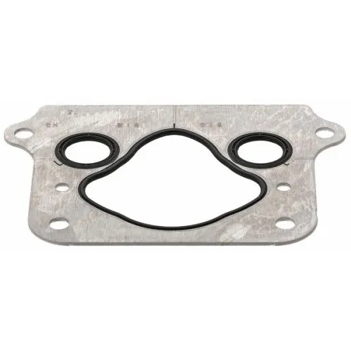 Elring Dichtung, Ladeluftkühler 898.580