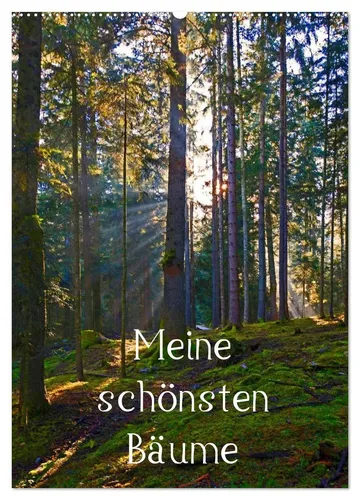 Christa Kramer | Meine schönsten Bäume - Wandkalender 2026 - Entdecken Sie 12 beeindruckende Baum-Motive aus dem Salzburger Land in diesem hochwertigen Wandkalender. Ideal für Naturliebhaber und als stilvolles Geschenk.