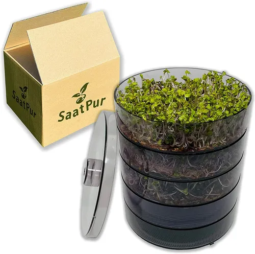 SaatPur Keimbar Set 4| Sprossenbox mit 4 Keimschalen und Deckel Kresse anzucht