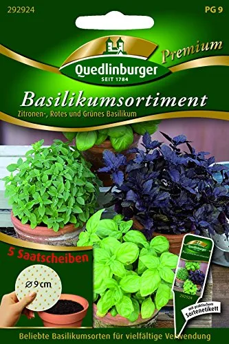 SAS Basilikum MSG 8 cm a 5mal QLB Premium Saatgut Basilikum