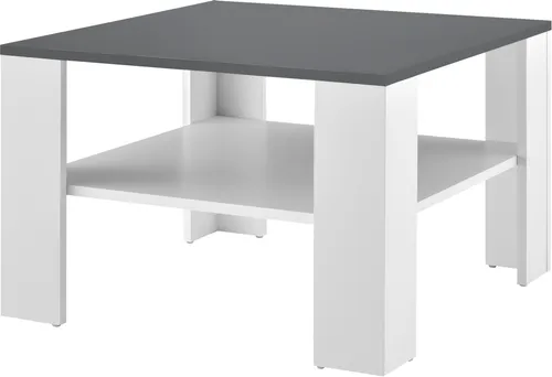 [en.casa] Couchtisch Aachen 60x60 cm - Stilvoller Beistelltisch in Weiß/Dunkelgrau - Beistelltisch fürs Wohnzimmer mit stabilen Füßen und zusätzlicher Ablagefläche für mehr Stauraum. Leicht zu reinigen und ein zeitloser Hingucker in jedem Raum.