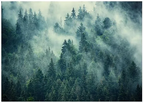 WallArena - Vlies Fototapete Wald 350x250 cm - Fototapeten - Tapeten - für Wohnzimmer Schlafzimmer - Vliestapete Wandtapete Tapete 3D Effekt- inkl. Kleister - Natur