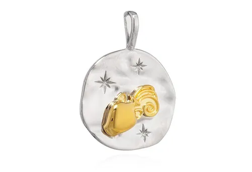 NKlaus 17mm Kettenanhänger Wassermann aus 925 Silber - Anhänger für Damen, modernes Design mit Sternzeichen Wassermann – ein stilvolles Amulett für persönliche Bedeutung und Schutz.