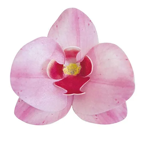 dekora – Essbare Blumen für Torten, Esspapier-Tortendeko, 10 rosa Orchideen 8,5 x 7,5 cm, ohne Zucker, glutenfrei, laktosefrei, Tortendeko essbar für Hochzeit, Geburtstag und Taufe