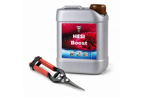 HESI Boost Blütedünger Vorteilspack 5 l mit Ernteschere - Maximale Blütenkraft im Vorteilspack! HESI Boost Blütedünger unterstützt deine Pflanzen in der Blütephase und sorgt für kräftige, aromatische Ergebnisse. Inklusive praktischer Ernteschere für eine saubere Ernte.