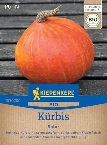 Kiepenkerl Kürbissamen Solor 1030200 - BIO - schmackhaft - dunkelgelbes Fruchtfleisch - rankender Wuchs - Samen Gemüse, Saatgut, Gemüsepflanzen