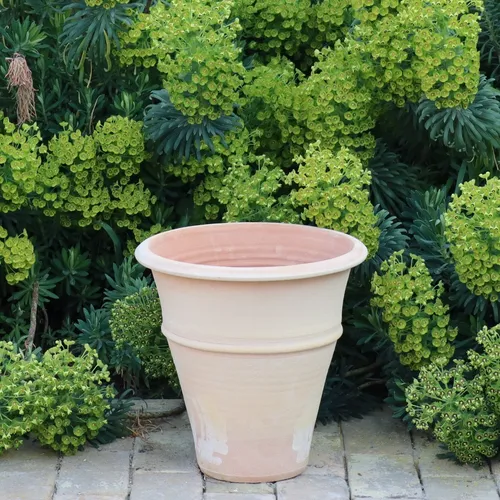 handgefertigtes Terracotta Pflanzgefäß, frostfester Pflanzkübel Yucca 30 cm
